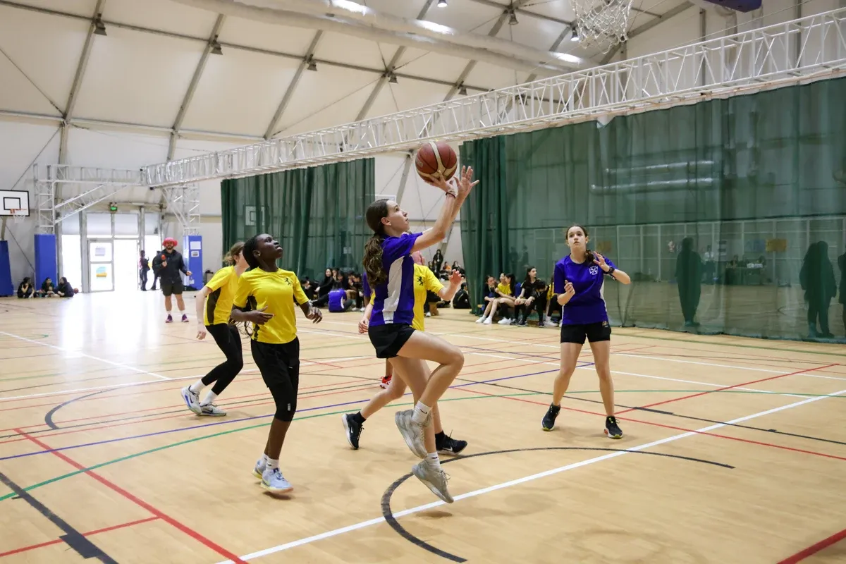 House Basketball 2025